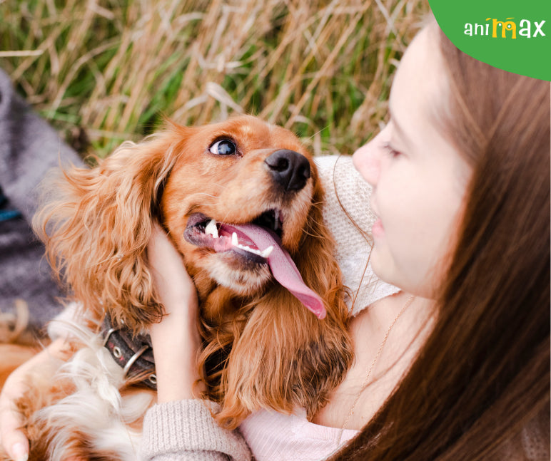 Efectele terapeutice ale cainilor