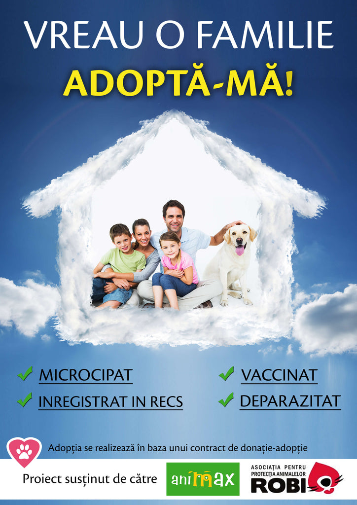 Adoptia unui catelus, mai usoara ca niciodata!