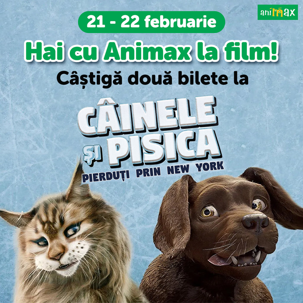 Regulamentul concursului “Hai cu Animax la film" - Perioada 21-22 februarie 2024