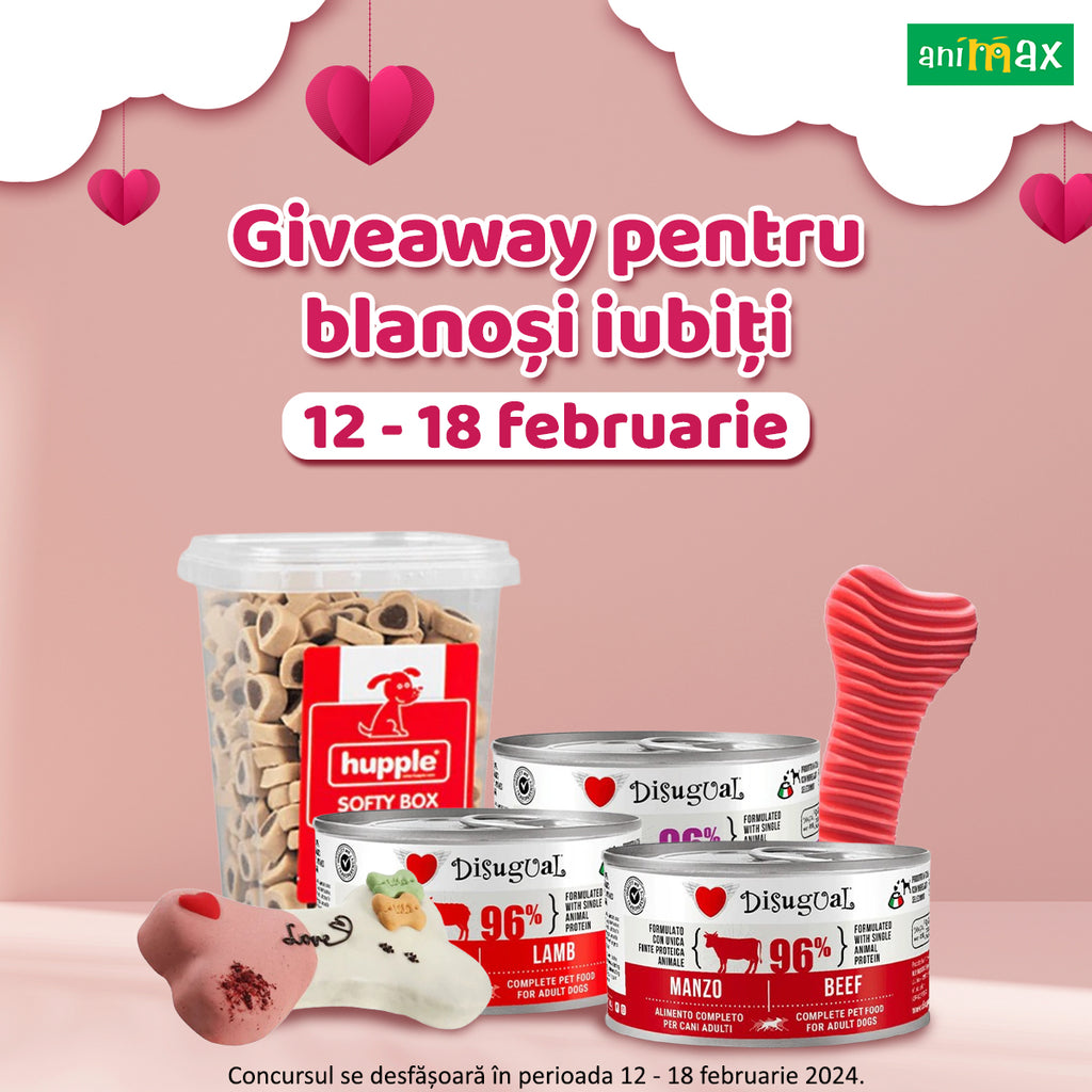Valentine`s Day Giveaway - 12.02-18.02.2024