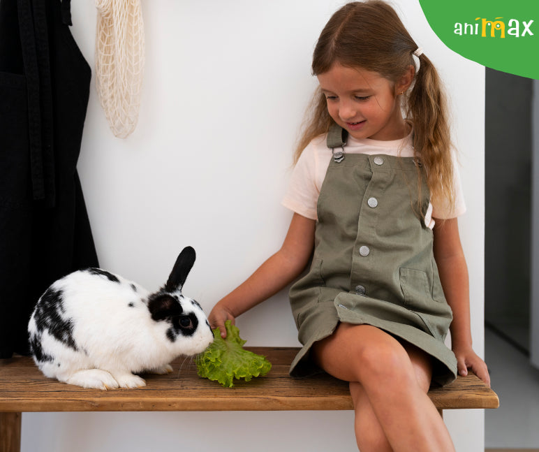 Iepurașii – animale ideale de companie