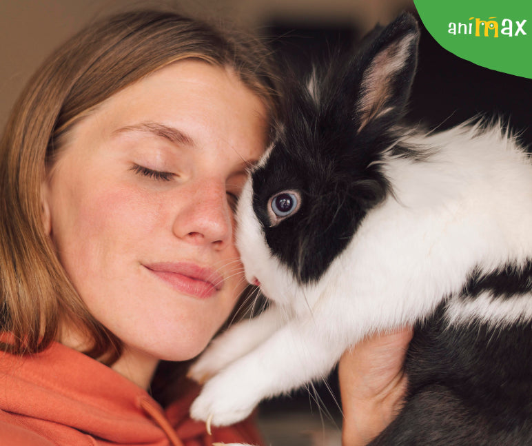 Iepurele este un animal rozator?