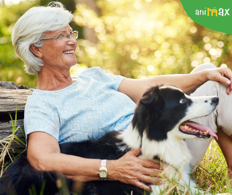 Relatia dintre cainii de companie si declinul cognitiv la varstnici