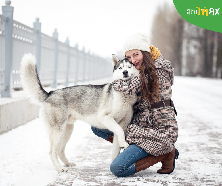 Rezistenta cainilor la frig