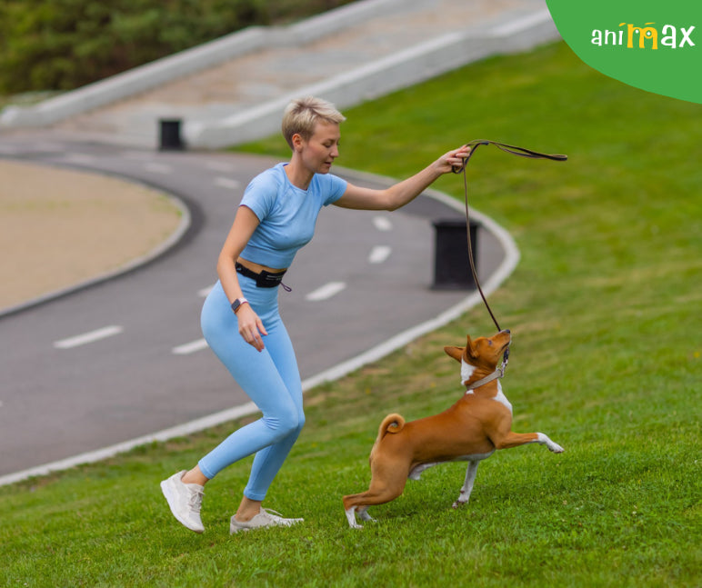 Beneficiile alergatului impreuna cu cainele tau