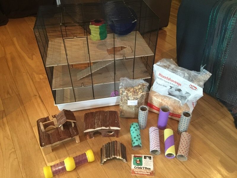 Pregatire mare pentru rozatoare