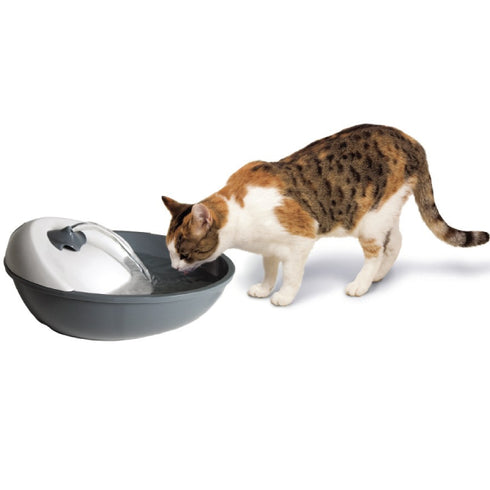 Fantana automata pentru caini si pisici Camon 1.7L