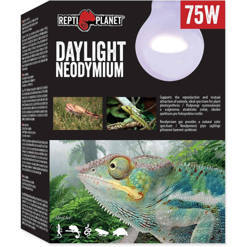Bec pentru terariu ReptiPlanet Daylight Neodymium 75W