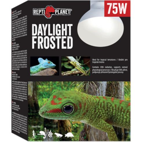 Bec pentru terariu ReptiPlanet Daylight Frosted 75W