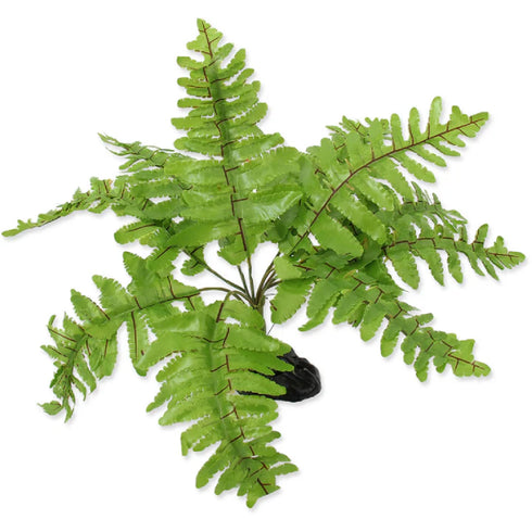 Decor pentru terariu ReptiPlanet Nephrolepis 20cm
