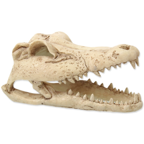Decor pentru terariu ReptiPlanet Craniu Crocodil 13.8x6.8x6.5cm