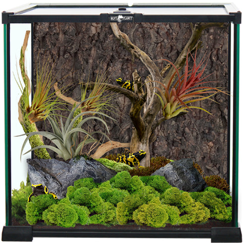 Terariu ReptiPlanet 30x30x30cm