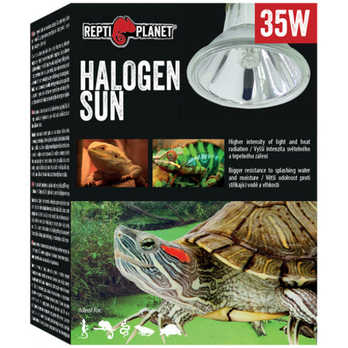 Bec pentru terariu ReptiPlanet Halogen Spot 35W