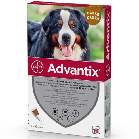 Advantix 600 (40-60kg) - 1 Pipeta