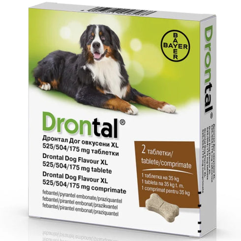 Drontal Dog Flavour XL