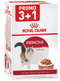 Hrana umeda pentru pisici Royal Canin FHN Instinctive Gravy 4x85g PROMO 3+1