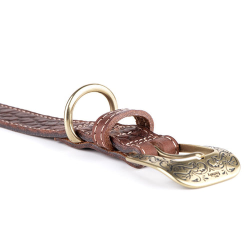 Zgarda pentru caini MyFamily El Paso Maro 42-50cm