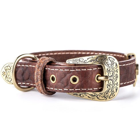 Zgarda pentru caini MyFamily El Paso Maro 42-50cm