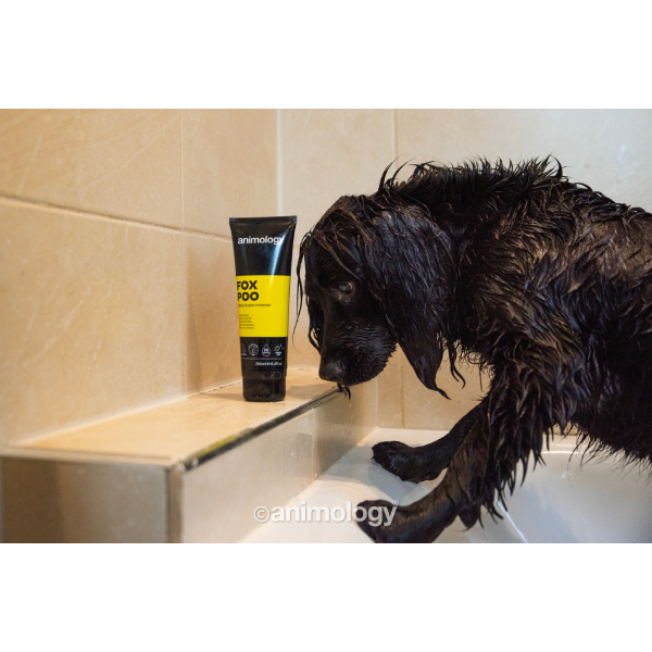 Sampon pentru caini Animology Fox Poo 250ml - Animax