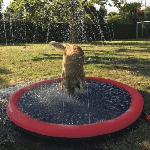 Piscina pentru caini Nobby Red Ovala 150cm