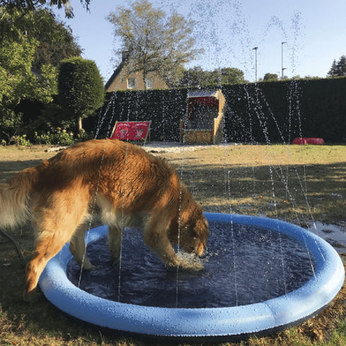 Piscina pentru caini Nobby Blue Ovala 100cm