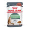 Hrana umeda pentru pisici Royal Canin Digest Sensitive 85g