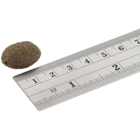 Hrana uscata pentru catei Fish4Dogs Finest Puppy Somon & Cartof Dulce 6kg Crocheta Mare