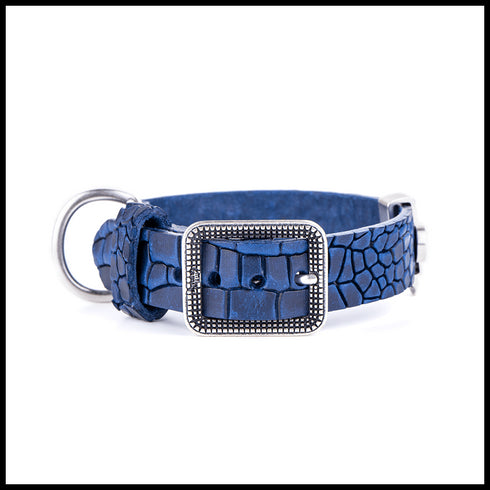 Zgarda pentru caini MyFamily Tucson Albastru 37-45cm