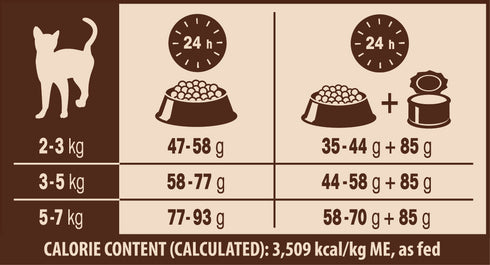 Hrana uscata pentru pisici Wellness Core Dry Sterilised cu somon 300 g
