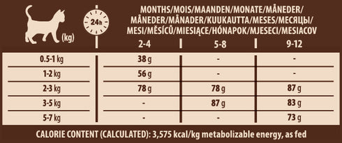 Hrana uscata pentru pisici Wellness Core Kitten Dry cu curcan si pui 300g