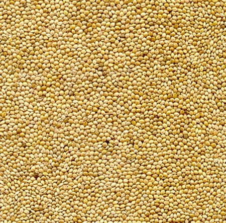 Animax Mei Galben 400 gr