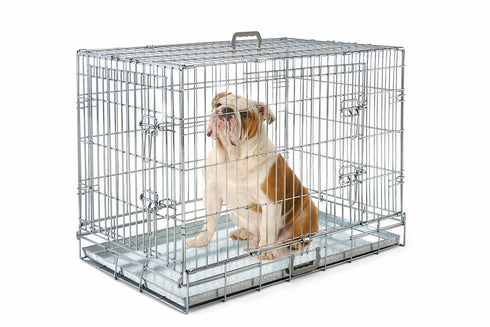 Cusca de transport pentru caini Imac Box Cane 75 cm