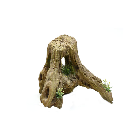 Decor Acvariu Radacina 50x30 cm