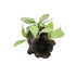 Decor Acvariu Trunchi+Plante