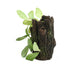 Decor Acvariu Trunchi+Plante