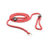 Lesa cordelina pentru caini Beeztees Red 170x08cm