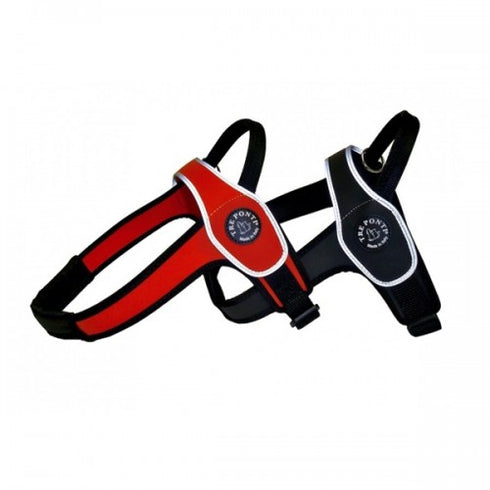 Ham caini Forta Treponti L