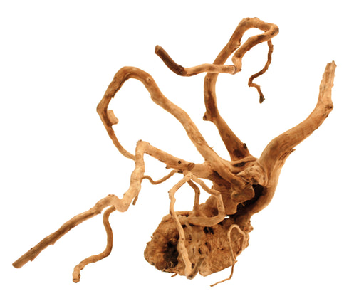 Decor Acvariu Radacina 20-25 cm