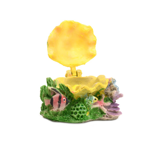 Decor pentru Pompa de Aer Croci Scoica