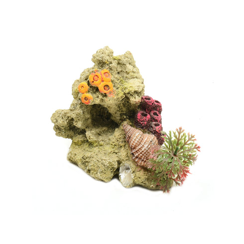 Decor Acvariu Coral Cochilie