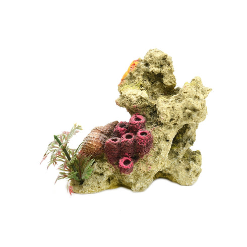 Decor Acvariu Coral Cochilie