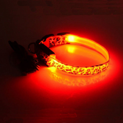 Zgarda pentru caini Tize Flash Usb L