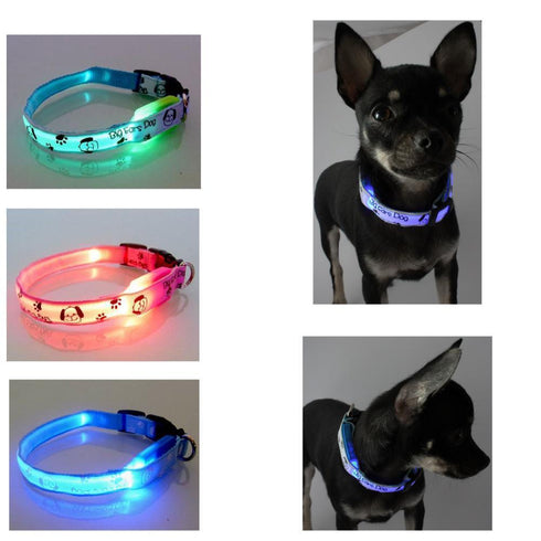 Zgarda rosie pentru caini Tize Flash M