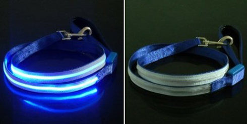 Lesa neagra cu albastru pentru caini Tize Flash