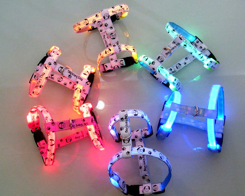 Ham rosu pentru caini Tize Flash