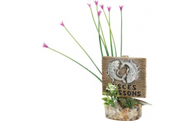 Decor pentru acvariu Zolux Pesti 75x50x90mm
