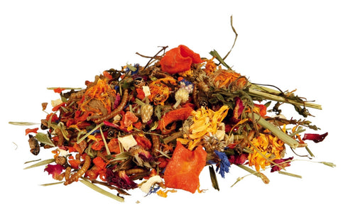 Hrana uscata pentru reptile Trixie 100 g