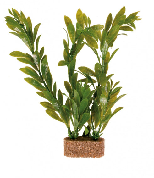 Decor pentru Acvariu Trixie Planta 12cm