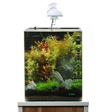Acvariu din sticla Dennerle Nano Cube Complete Plus 30 L 30x30x35 cm
