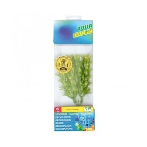 Planta Acvariu 15 cm